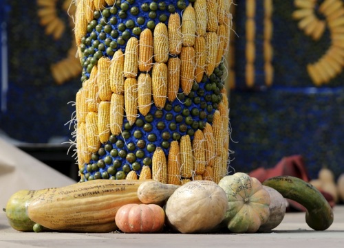 Detail of an altar, made of corn and pumpkins, where Pope Francis will give the main mass on July 12 during his visit to Paraguay, in Asuncion